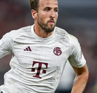 入全明星的 入全明星的