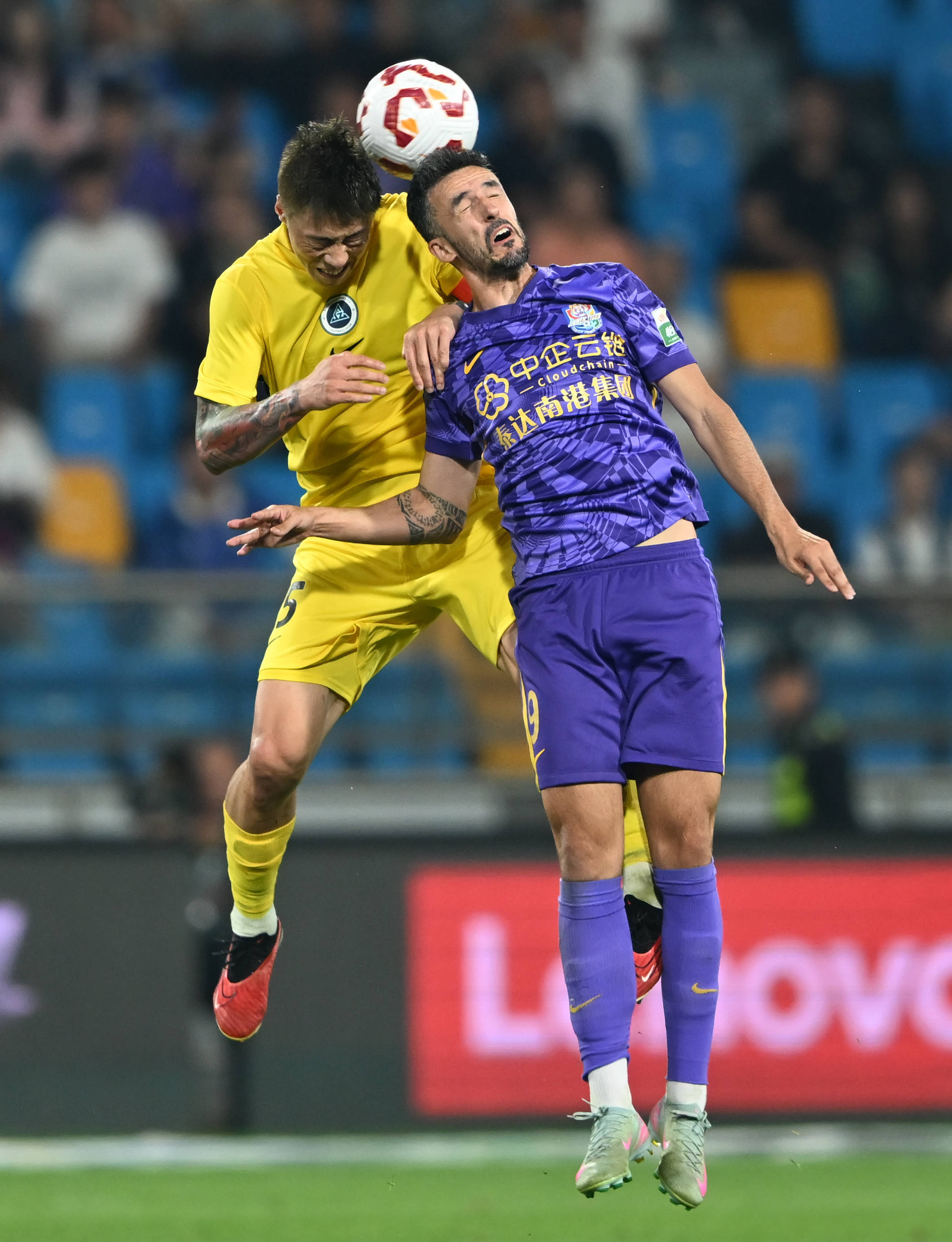 速了对新联 速了对新联